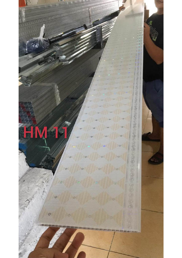 HM011